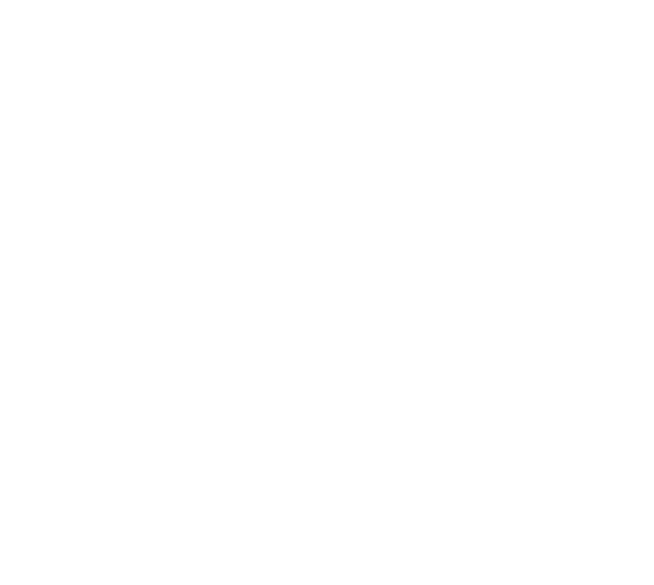 gerontopsiquiatria